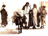 Pack donkey laden with produce for sale.  An early photograph. The donkey in Palestine is usually highly appreciated. It will find the way even where there is no track to follow and will carry rider or loads over the roughest ground.